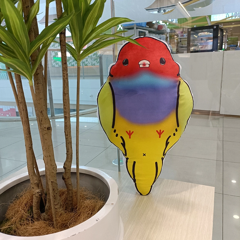 50cm