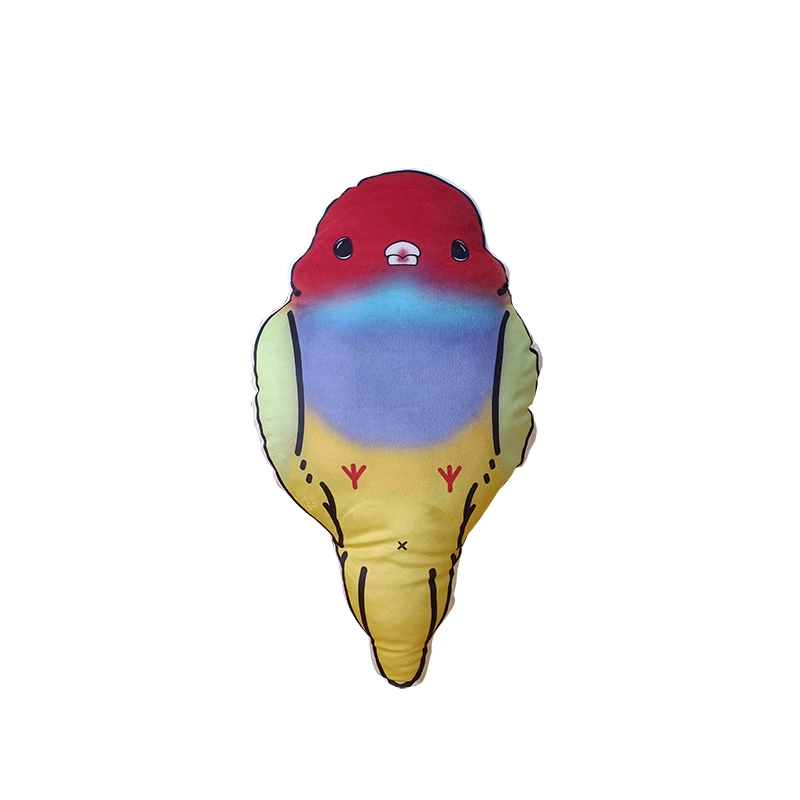50cm