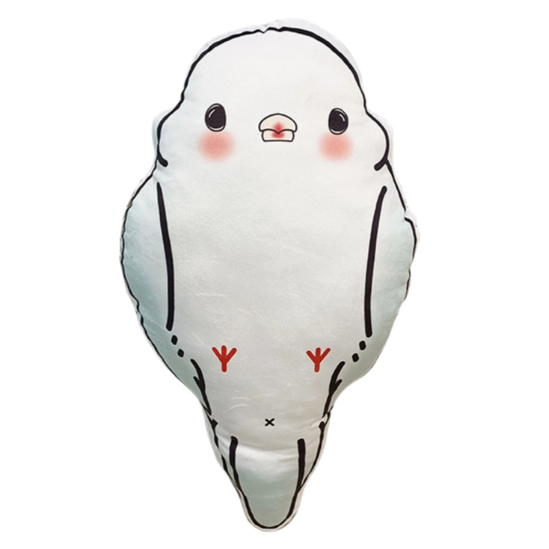 50cm