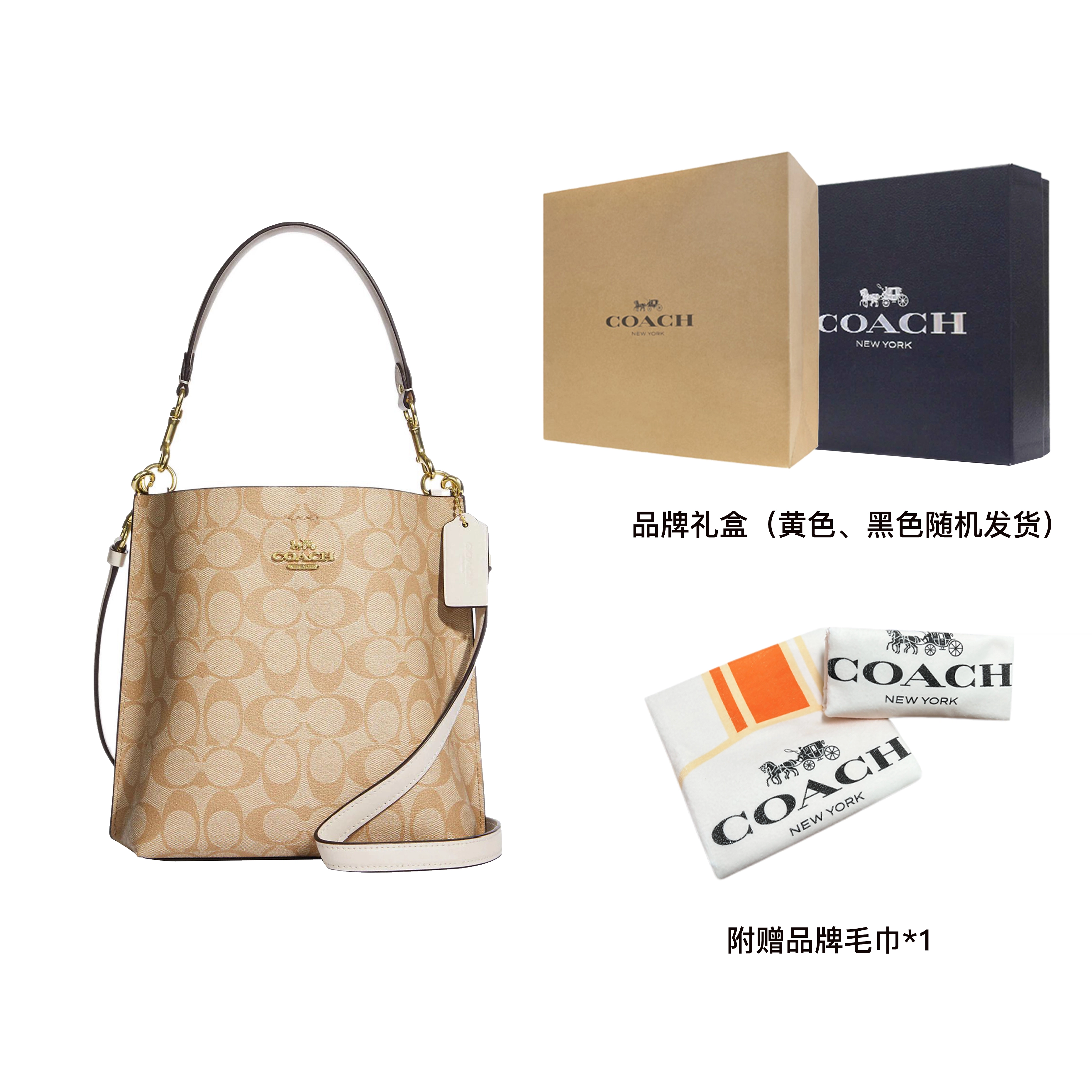 COACH Mollie Logo