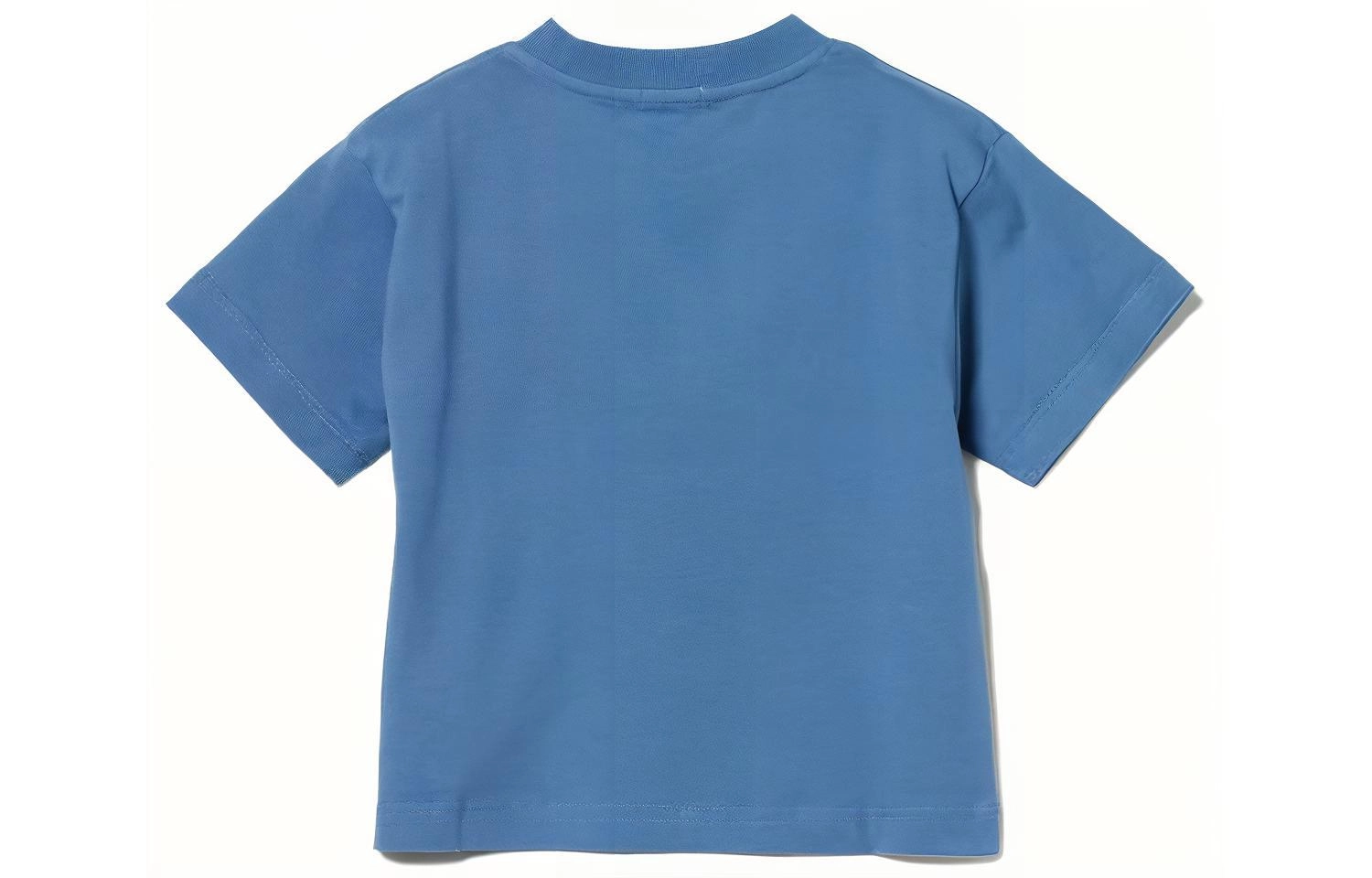 beams T