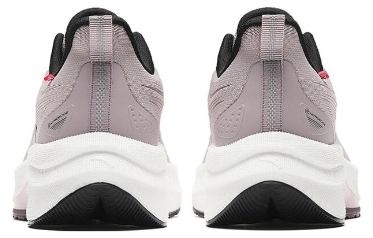Anta 5.0