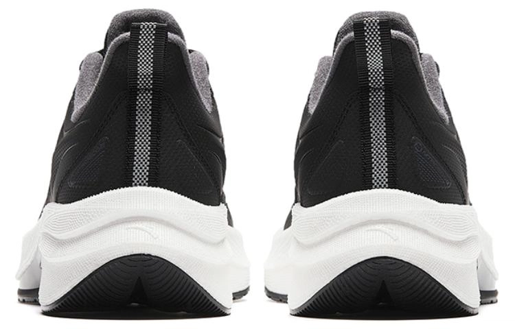 Anta 5.0