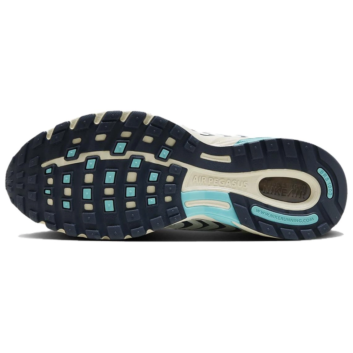 Nike Air Pegasus 2005