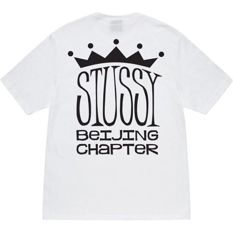 Stussy logoT