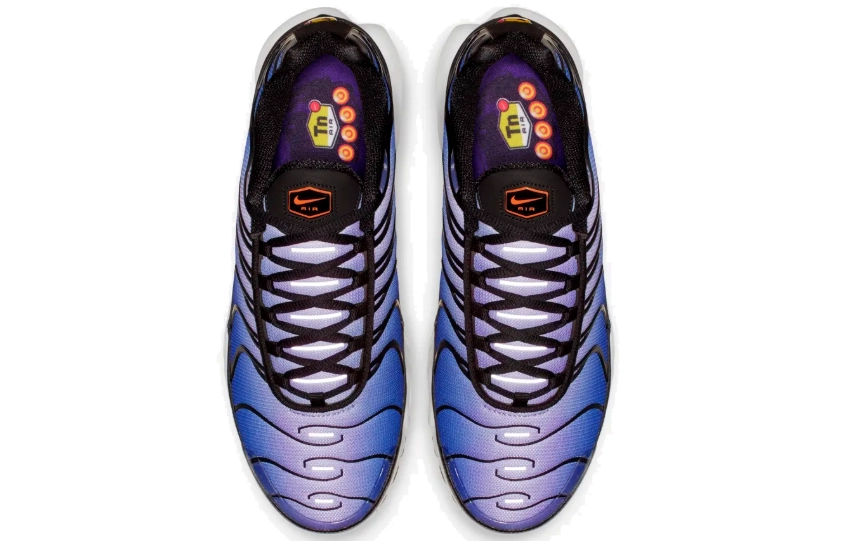 Nike Air Max Plus Midnight Purple