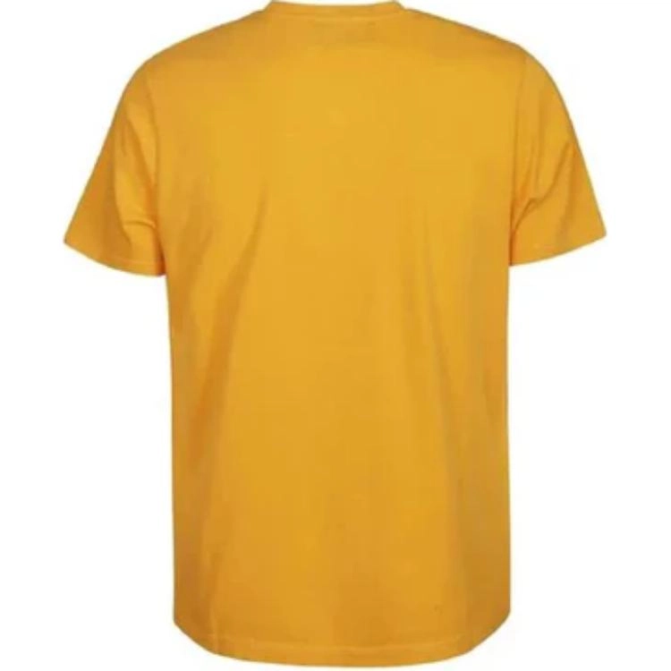 Vilebrequin T