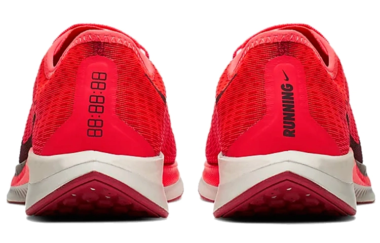 Nike Pegasus turbo 2