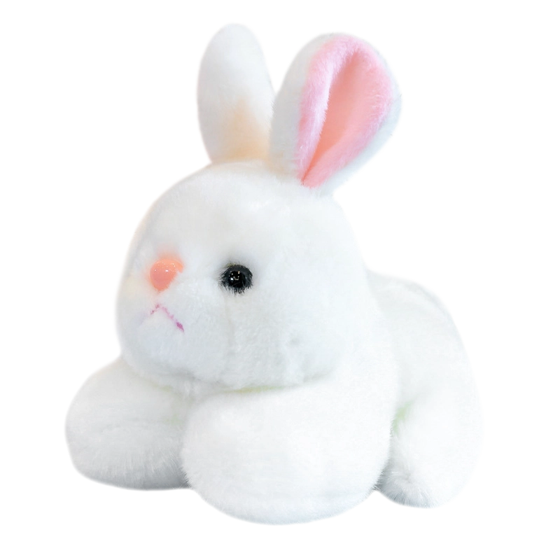 15cm20cm