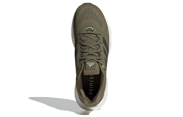 adidas Pure Boost 21 Schoenen