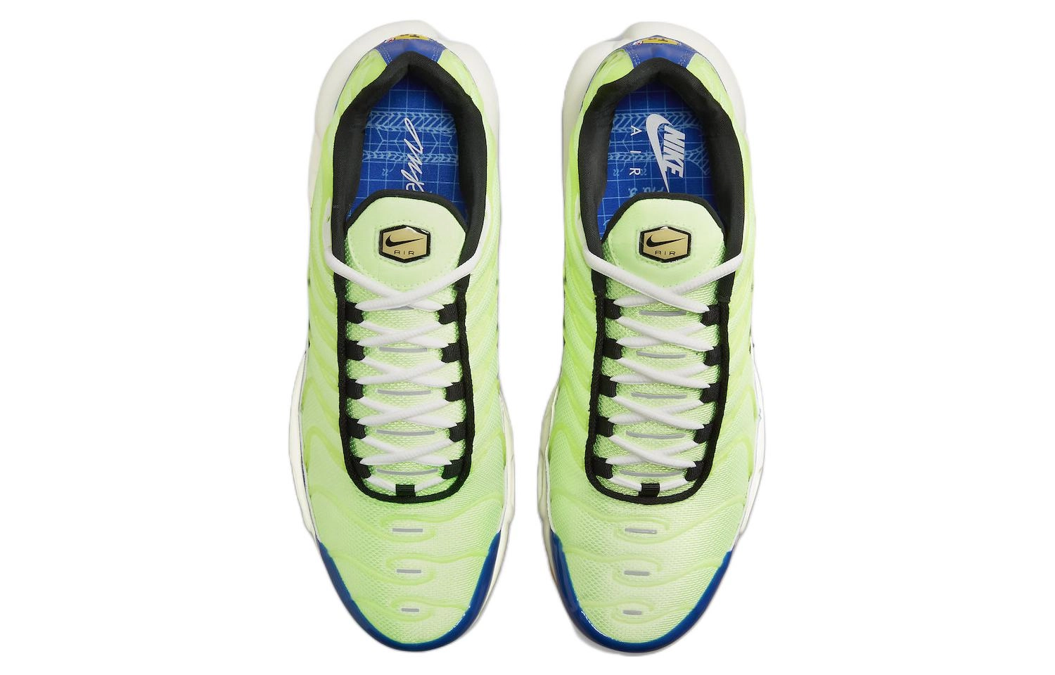 Nike Air Max Plus "M. Frank Rudy"