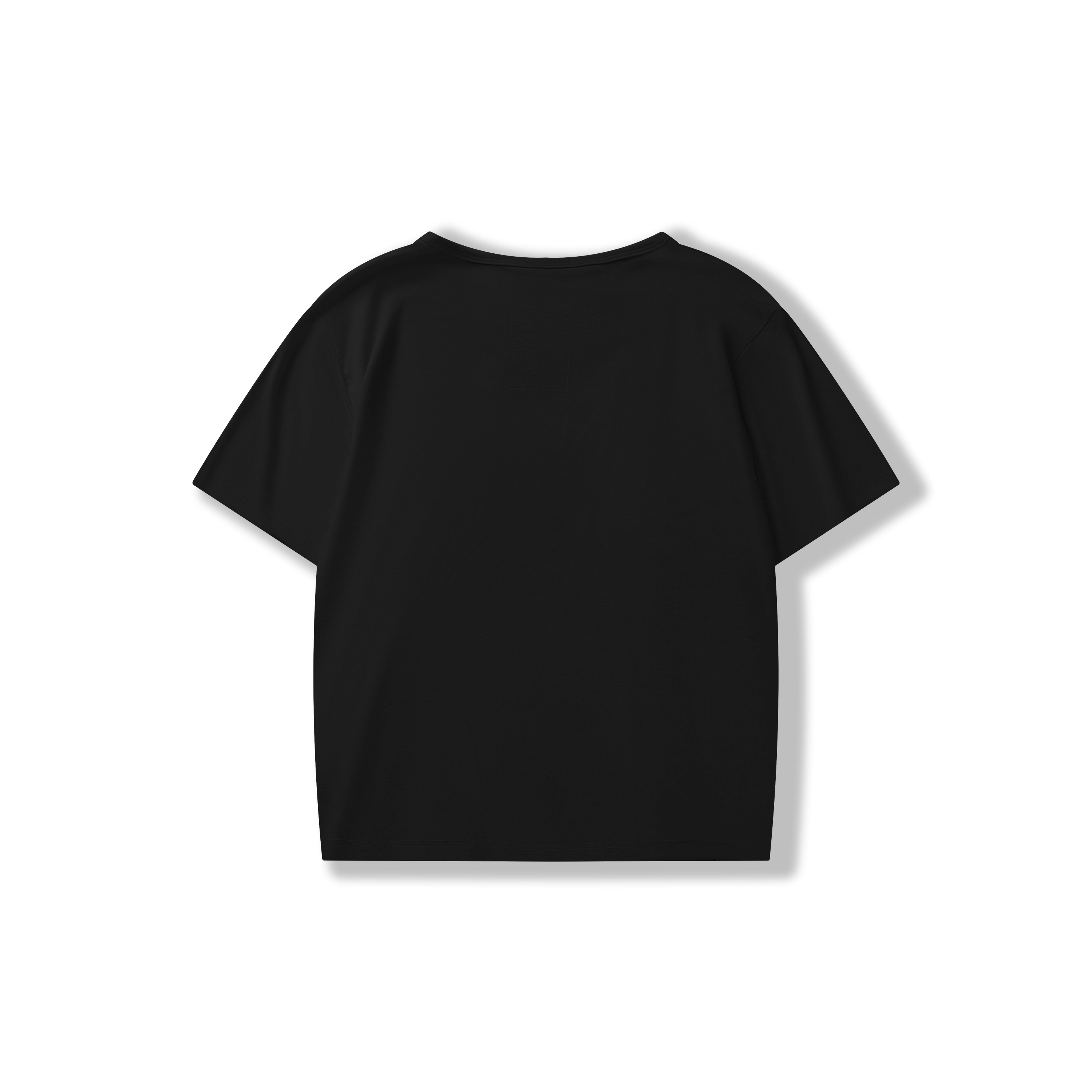 SHANTREE T