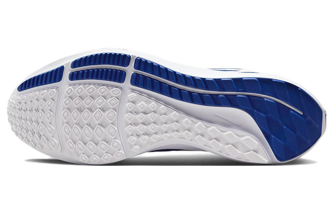 Nike Air Zoom Pegasus 39