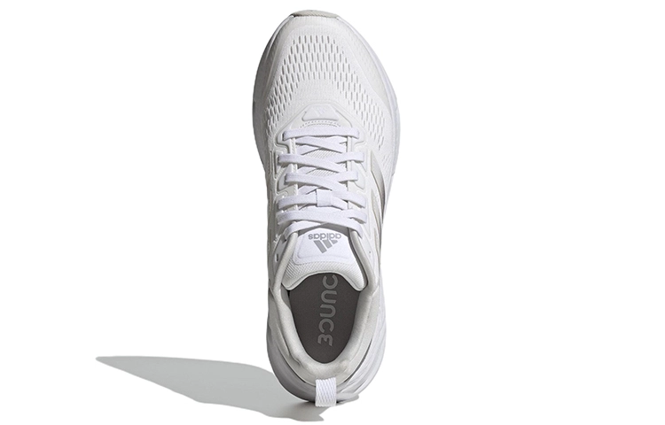 adidas Questar