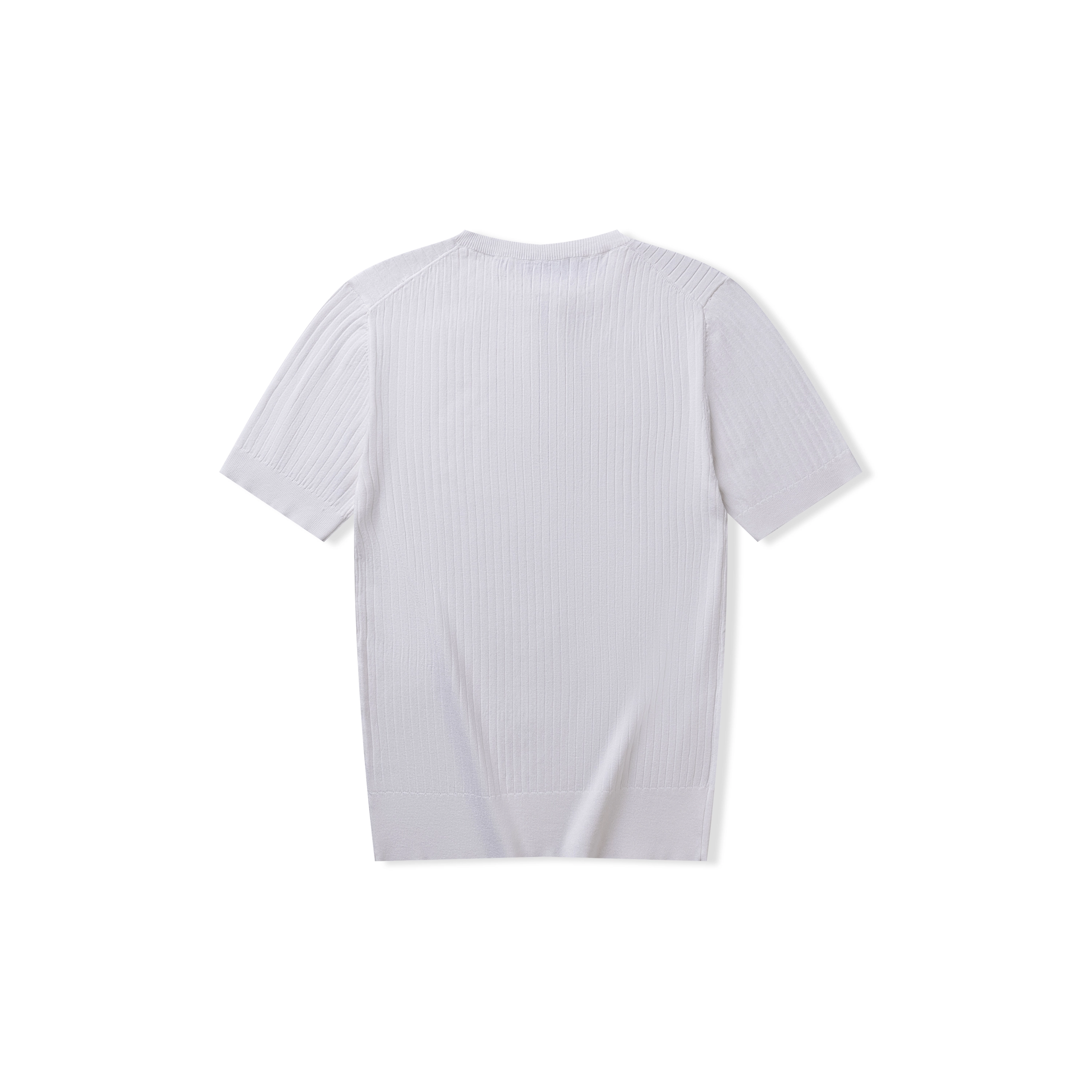 SHANTREE T