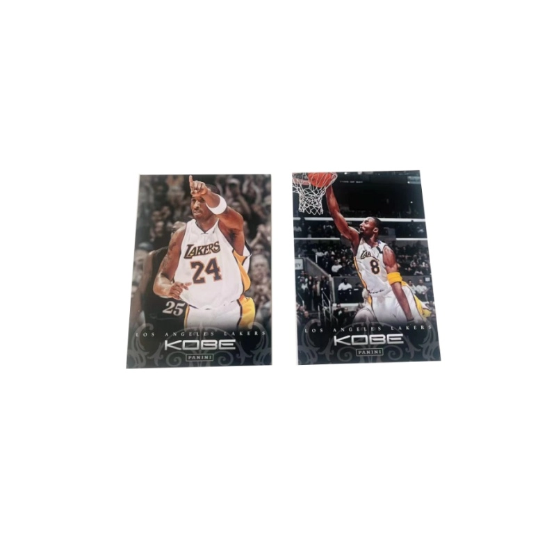 PANINI 2012 4 -