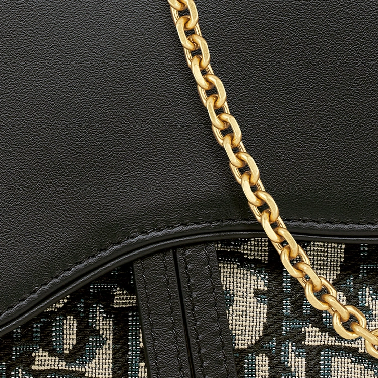 DIOR D Oblique