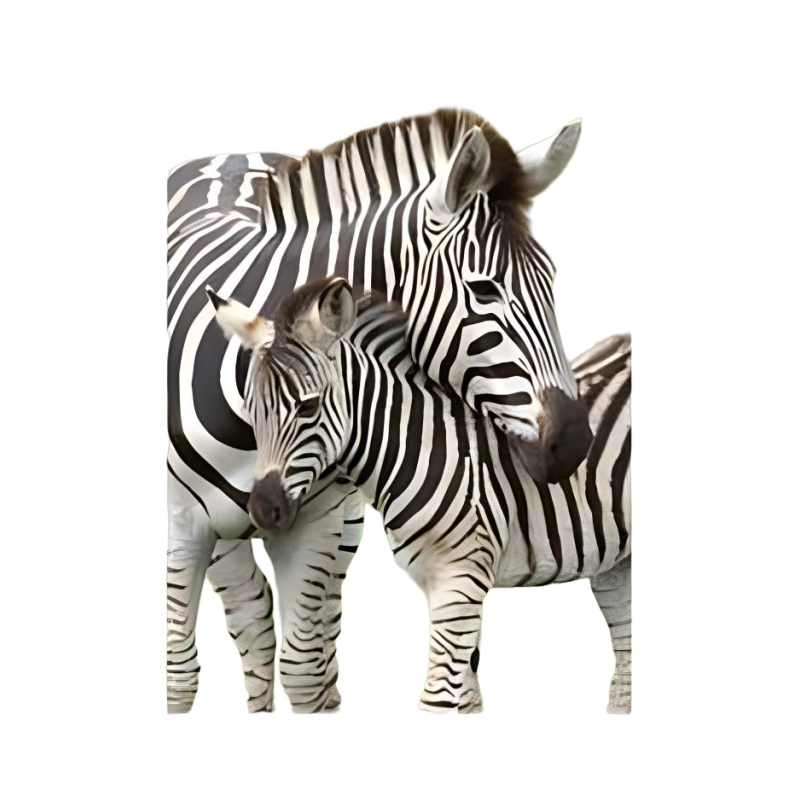 Ravensburger 300pcs 129485