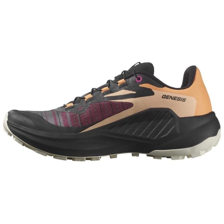 SALOMON Genesis