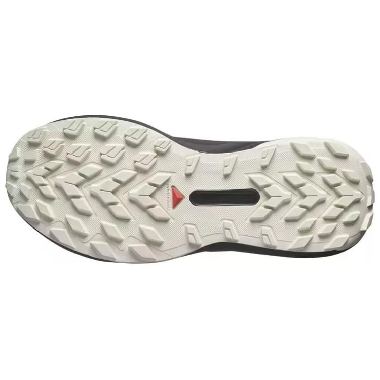 SALOMON Genesis
