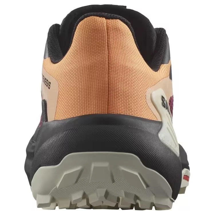 SALOMON Genesis
