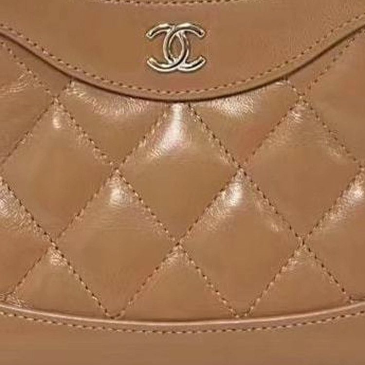 CHANEL 31bag 24S Nano