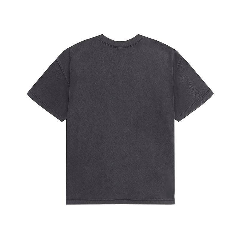Revenge T
