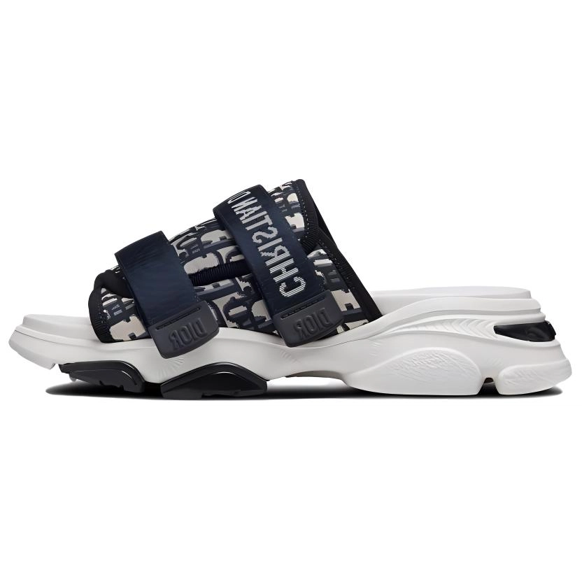 DIOR D-Wander