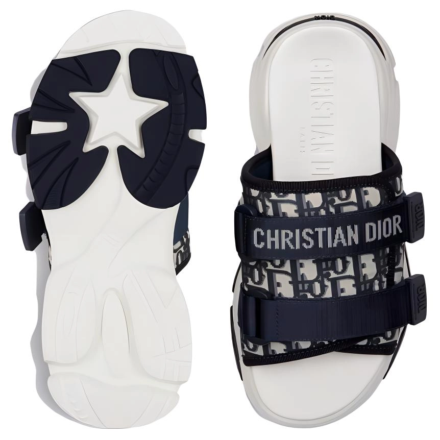 DIOR D-Wander