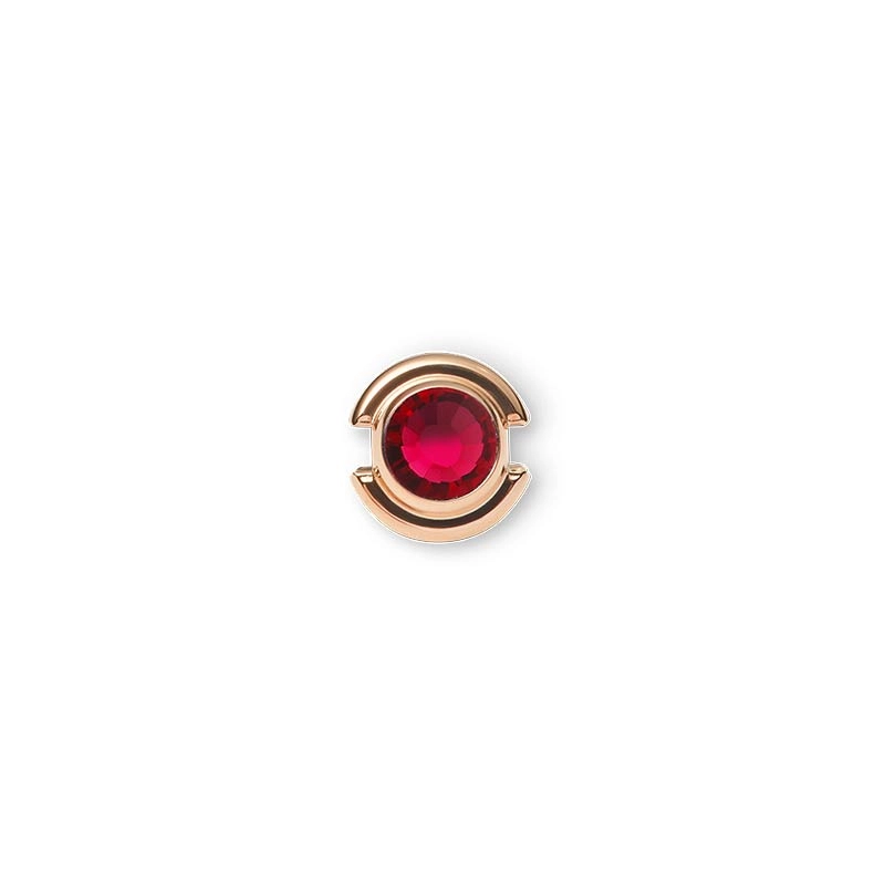 Daniel Wellington CHARMS 925