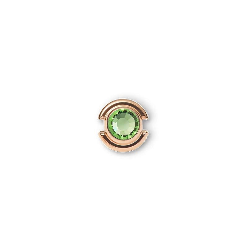 Daniel Wellington CHARMS 925