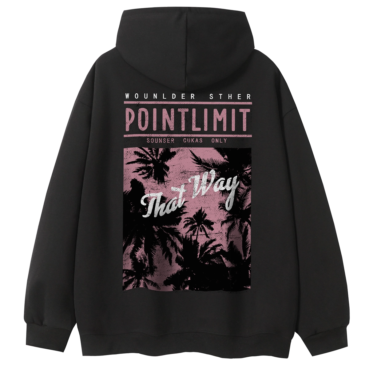 POINTLIMIT Logo