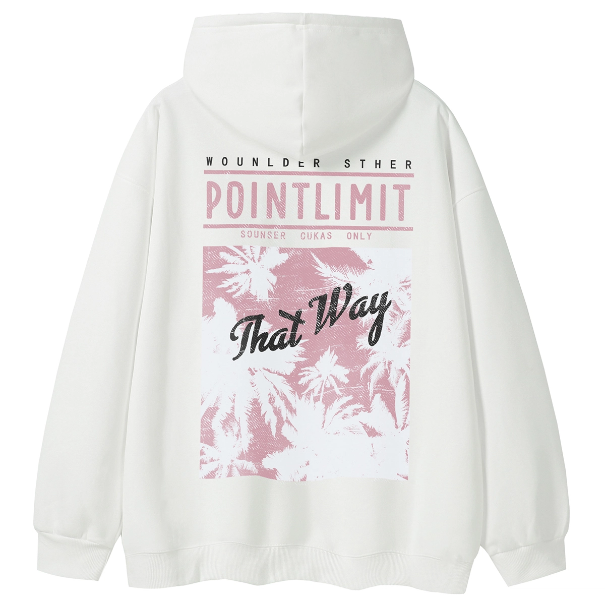POINTLIMIT Logo