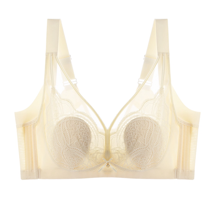 Sharefun BRA