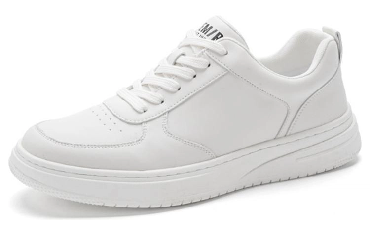 SEMIR