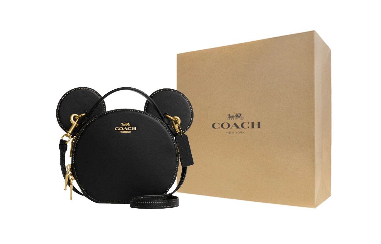 COACH X Disney 17