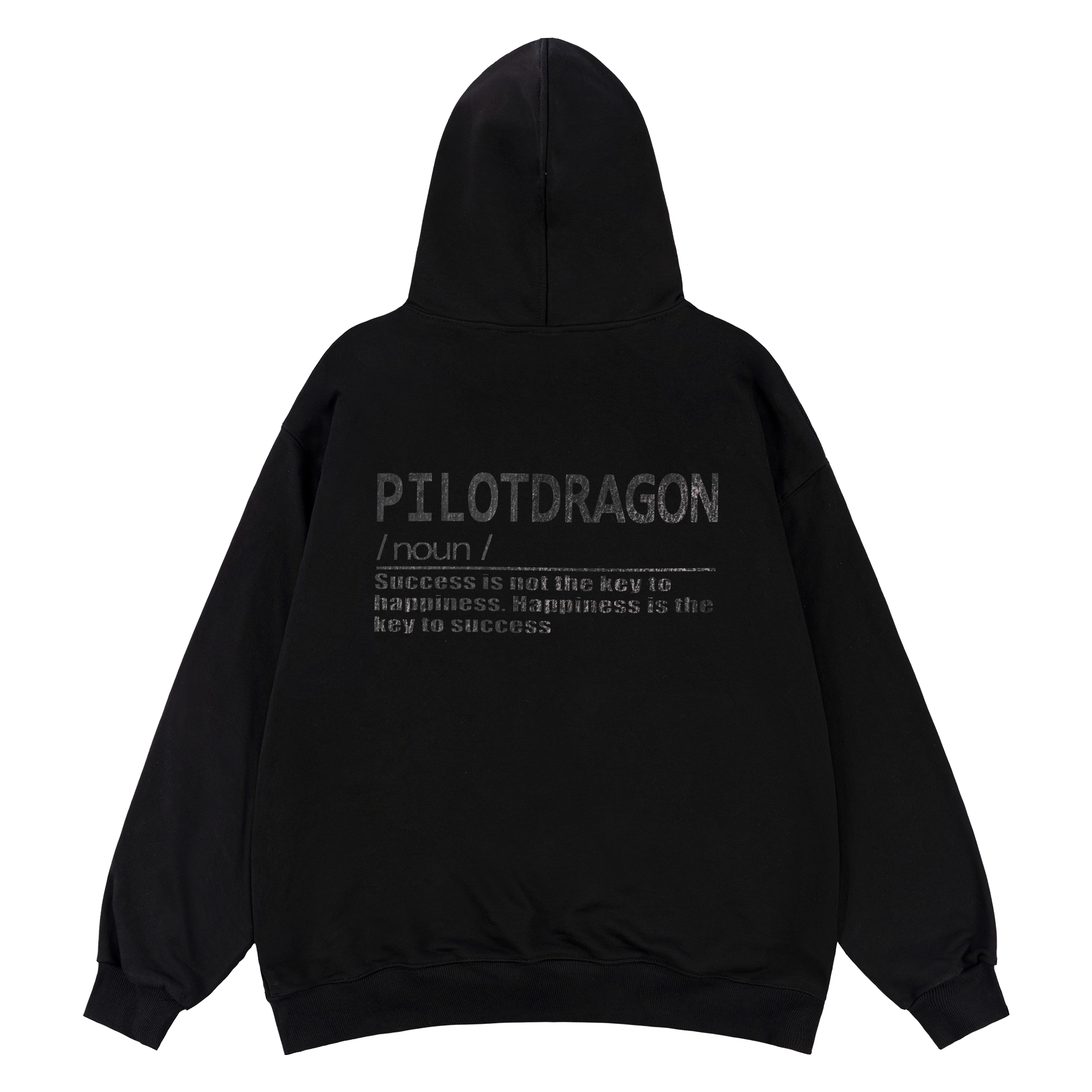 PILOTDRAGON PD 24FW logo