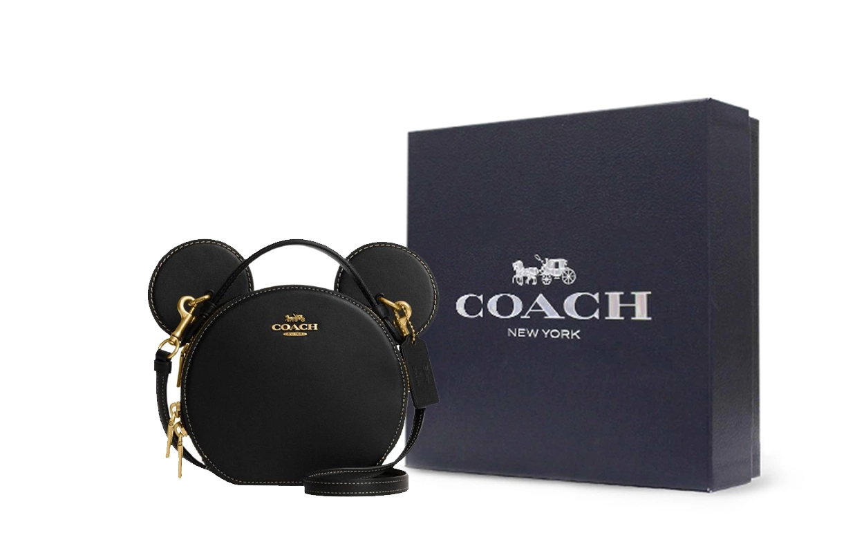 COACH X Disney 17