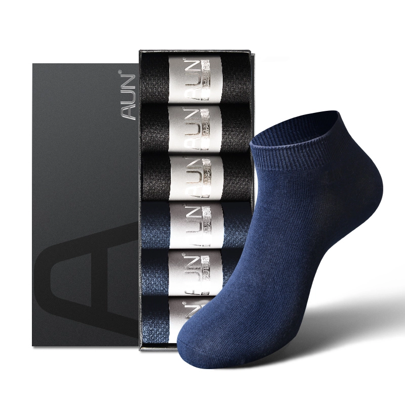 AUN 6