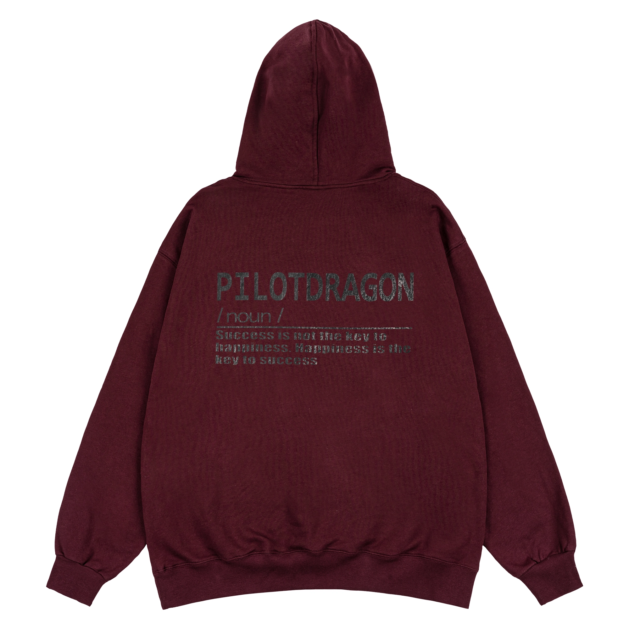 PILOTDRAGON PD 24FW logo