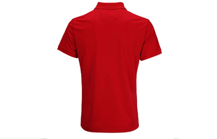 RIGORER LogoPolo