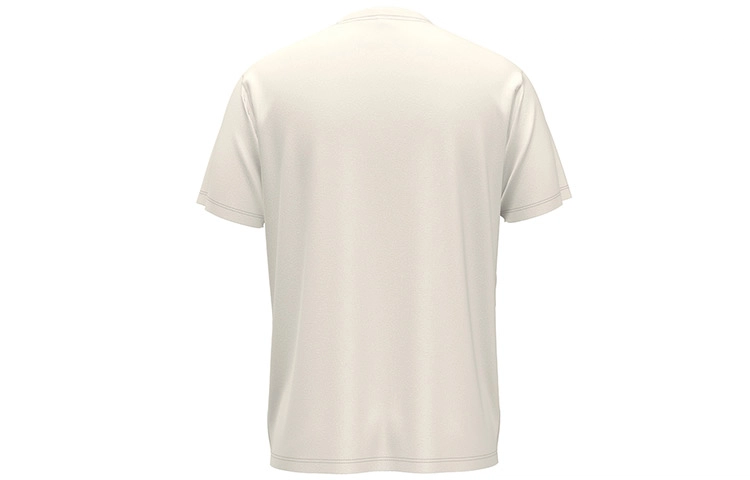 Dickies SS23 LogoT