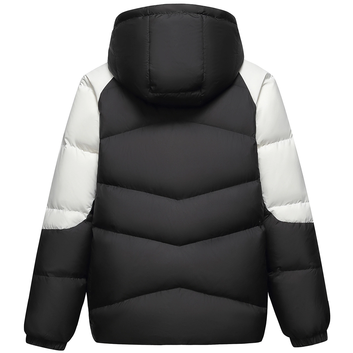 FW24
