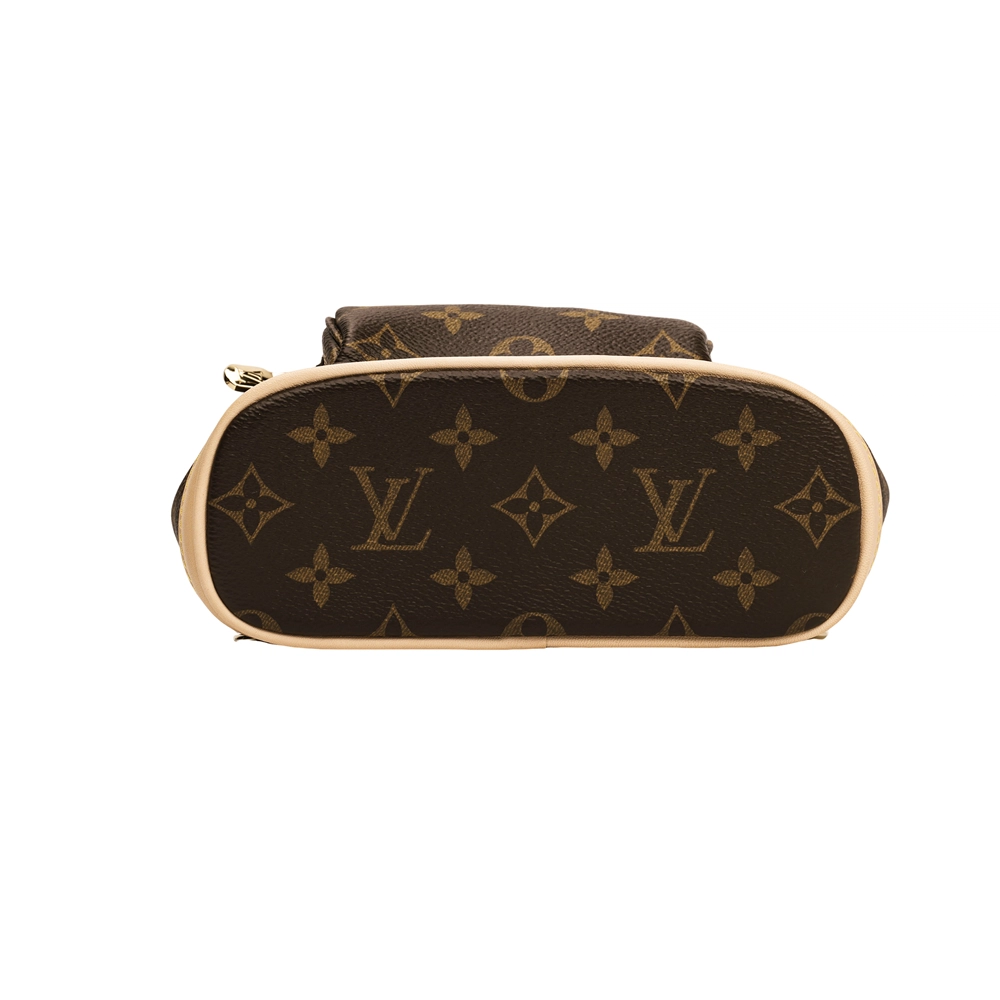 LOUIS VUITTON Montsouris Mini
