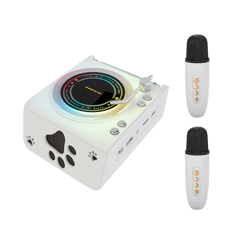 LIFE H123 HIFI RGB FM