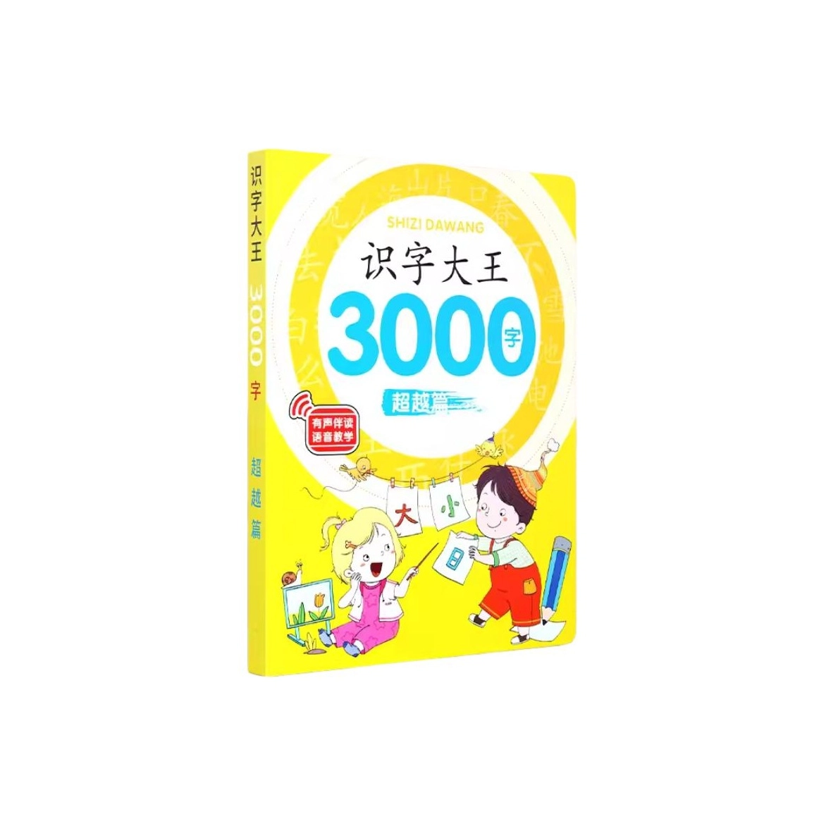 YSR 3000