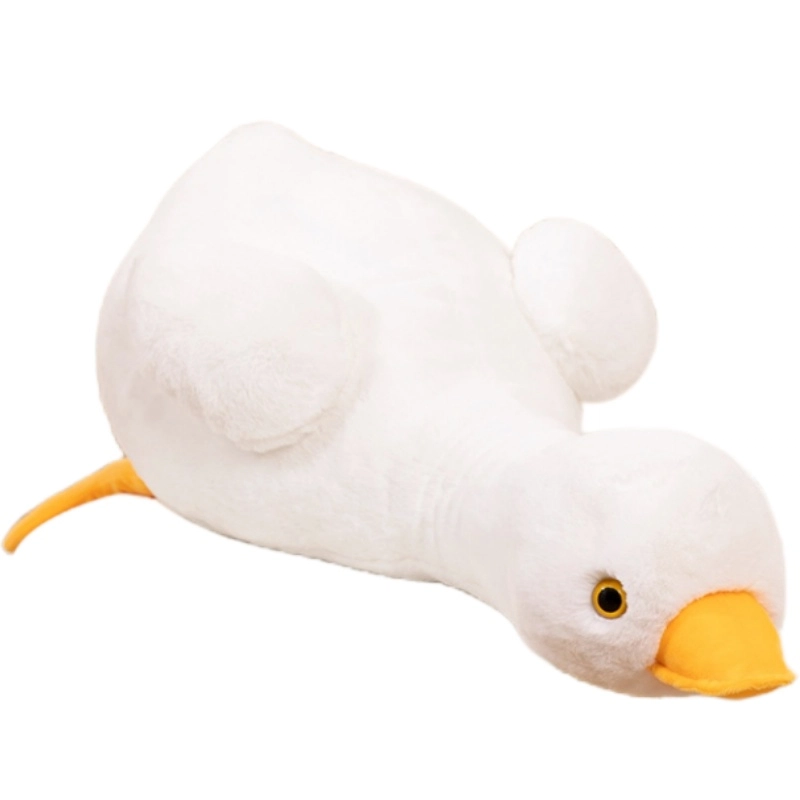 50cm70cm