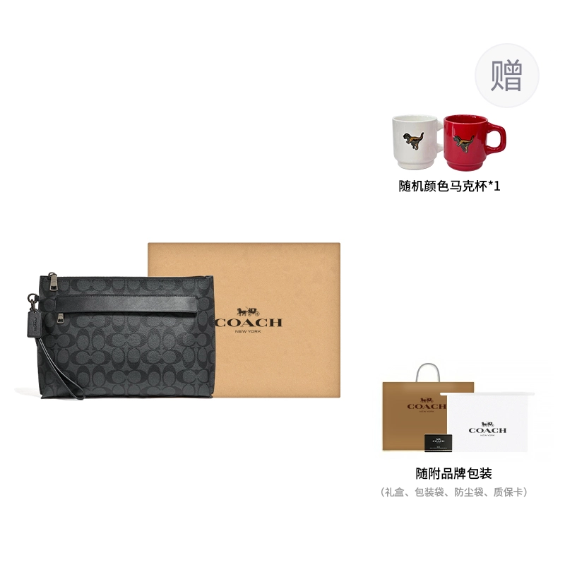 COACH Pouch 30 Logo