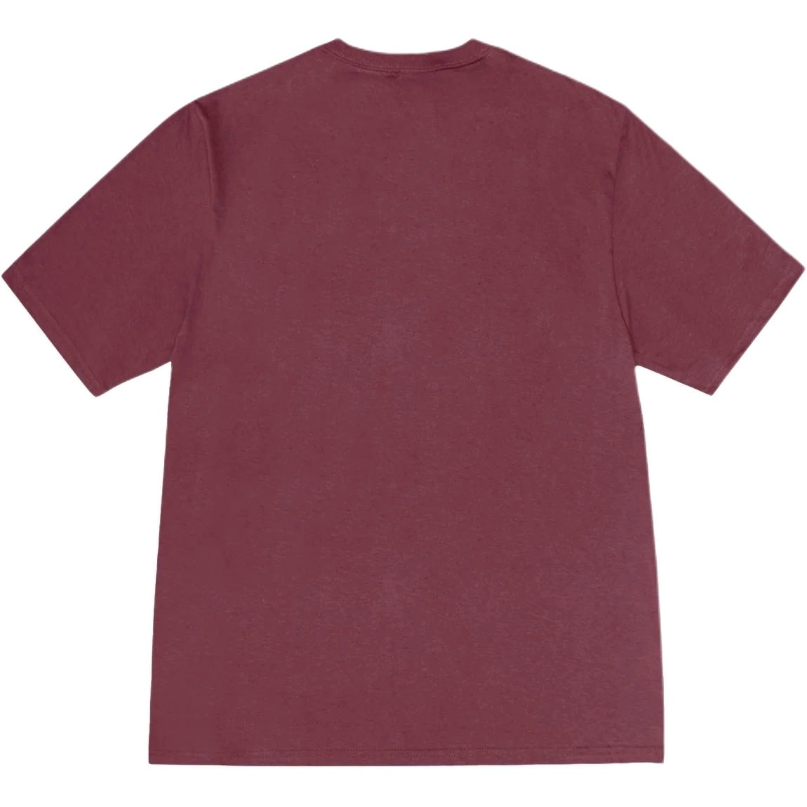 Stussy FW24 SPORTSWEAR TEE logoT