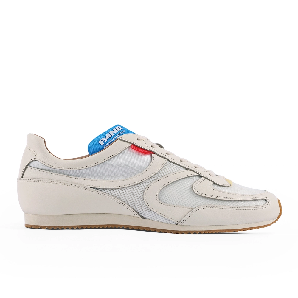 PANE -MEDALIST